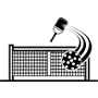 Pickleball Court
